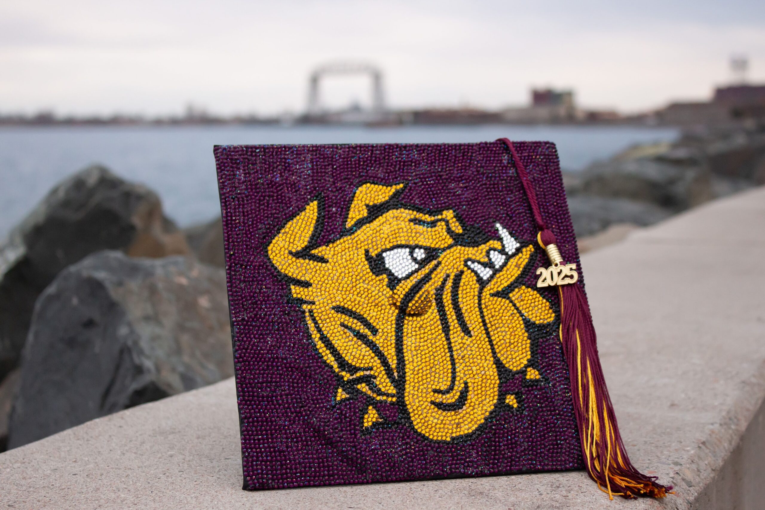 Graduation Caps