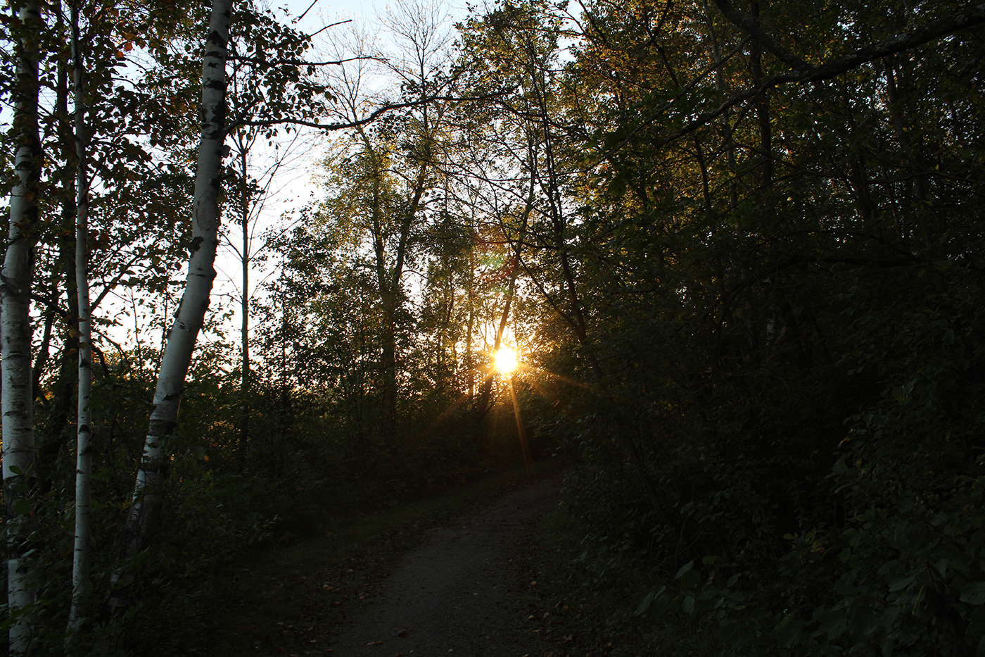 IMG_0983 IMG_0983