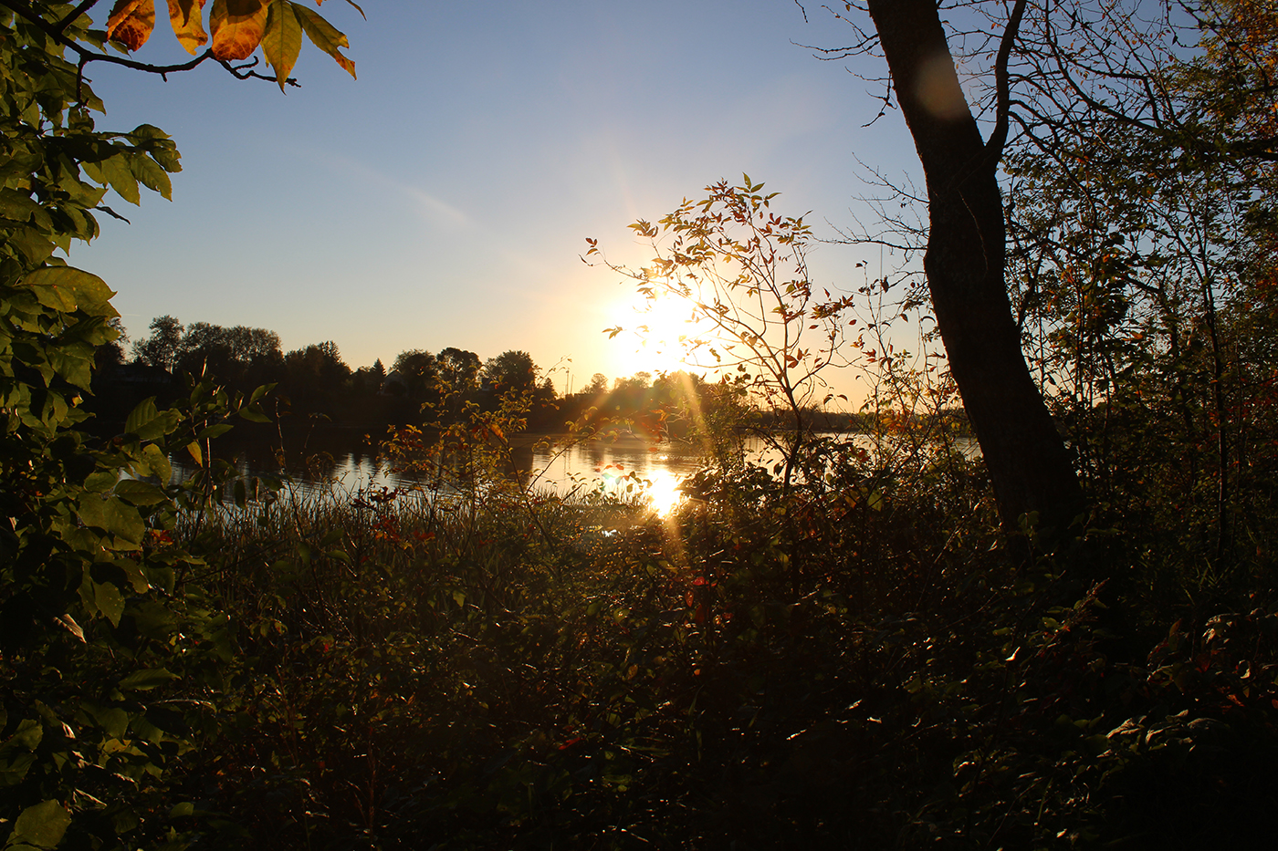 IMG_0987 IMG_0987