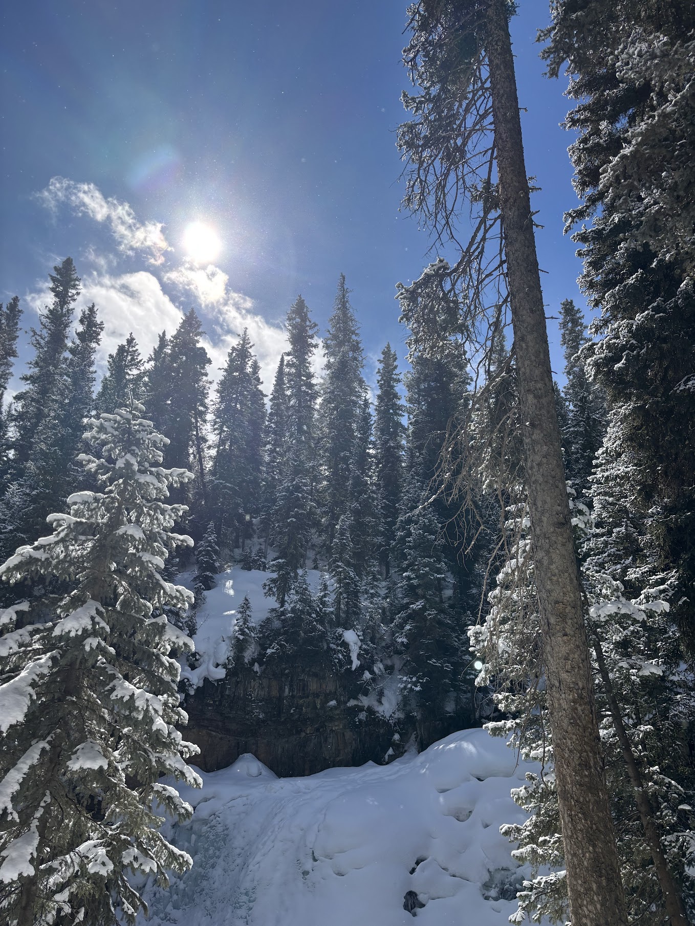 Cananda & Montana Trip